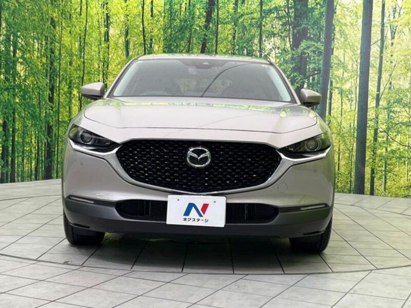 CX-30