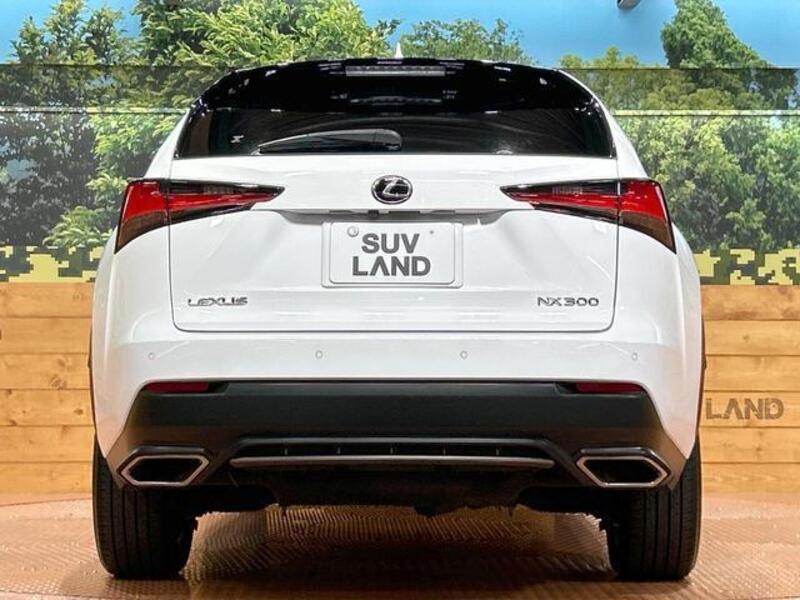 NX
