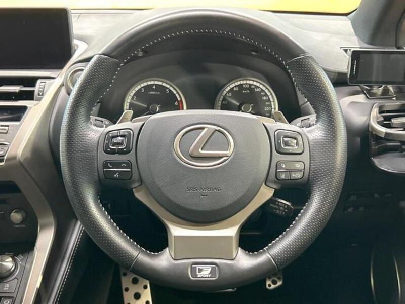 NX