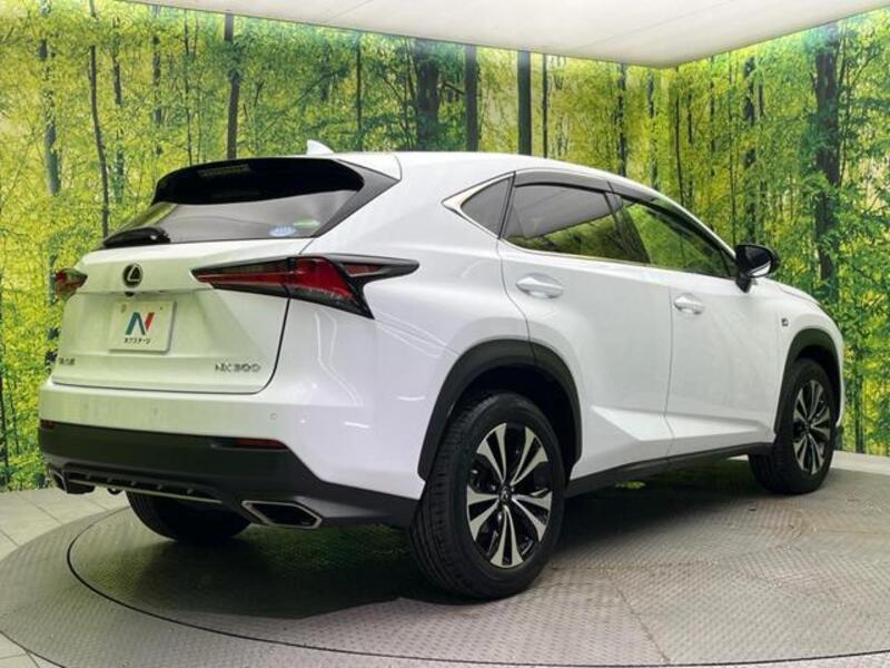 NX