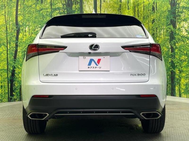 NX