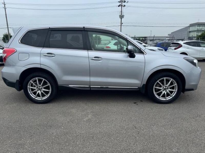FORESTER