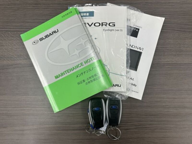 LEVORG