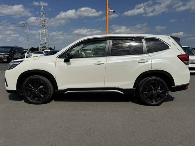 FORESTER