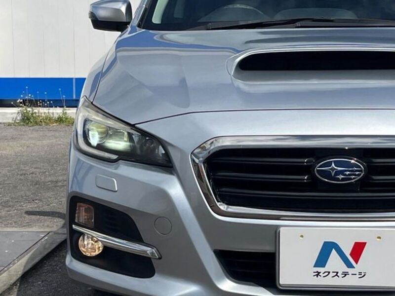LEVORG