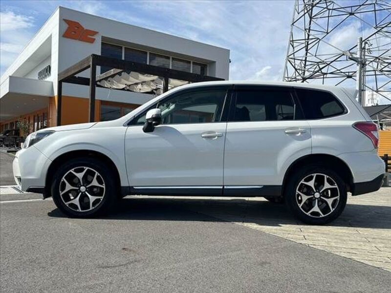 FORESTER