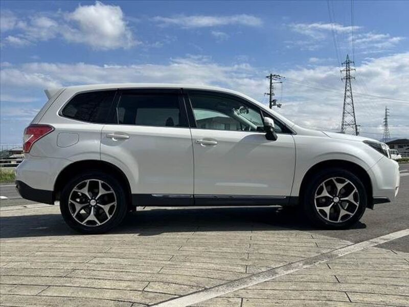 FORESTER