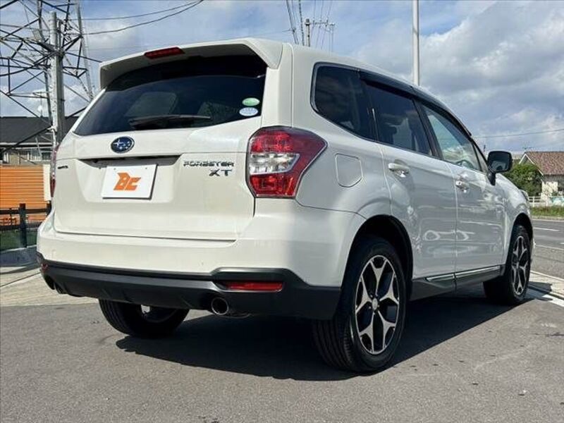 FORESTER