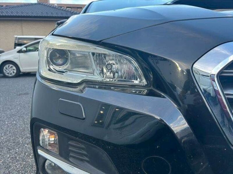 LEVORG
