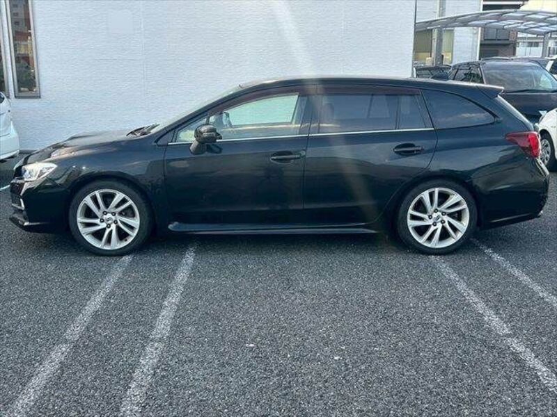 LEVORG