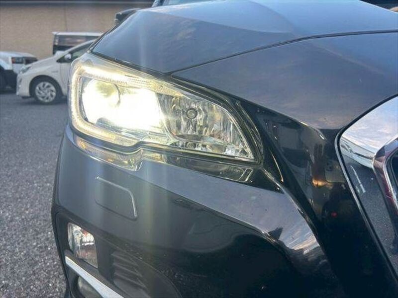 LEVORG