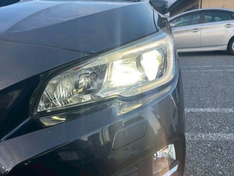 LEVORG