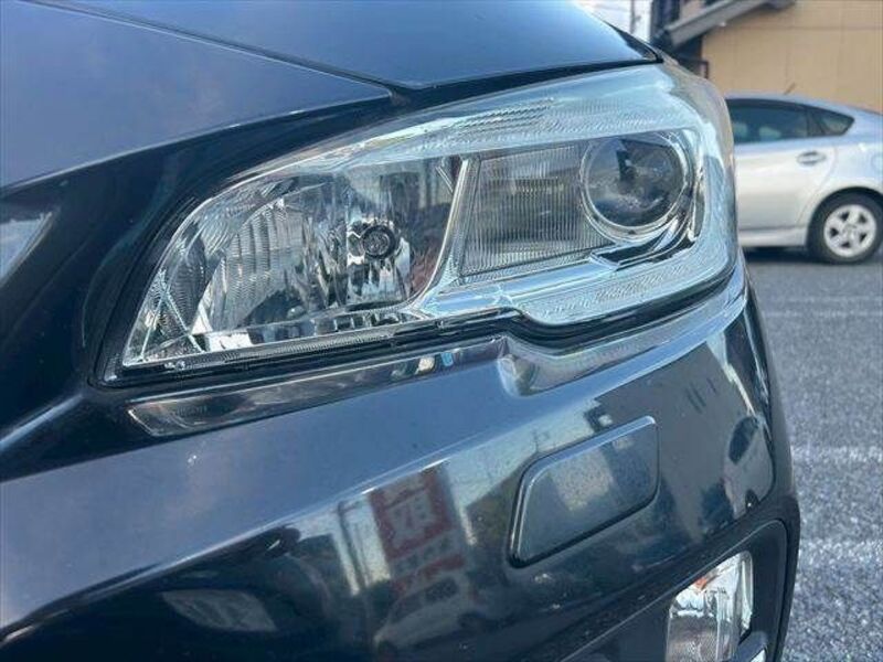 LEVORG