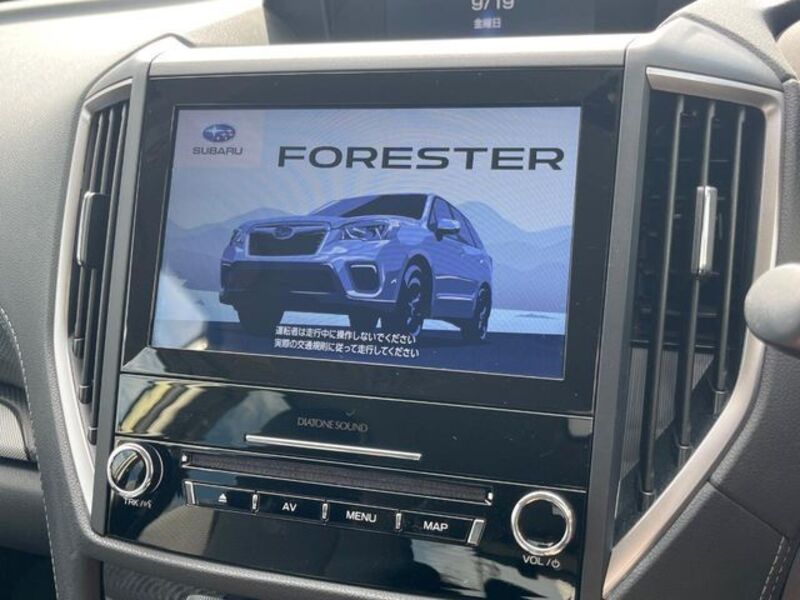 FORESTER