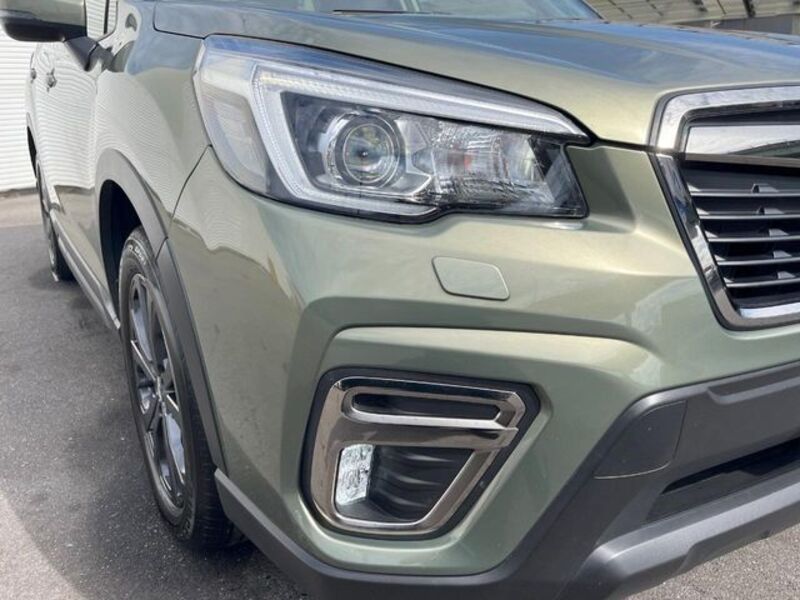 FORESTER