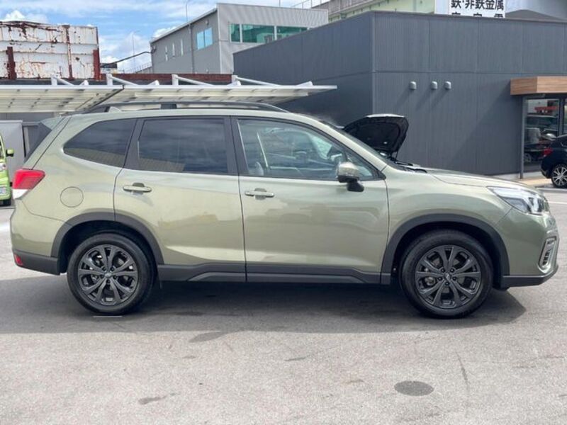 FORESTER