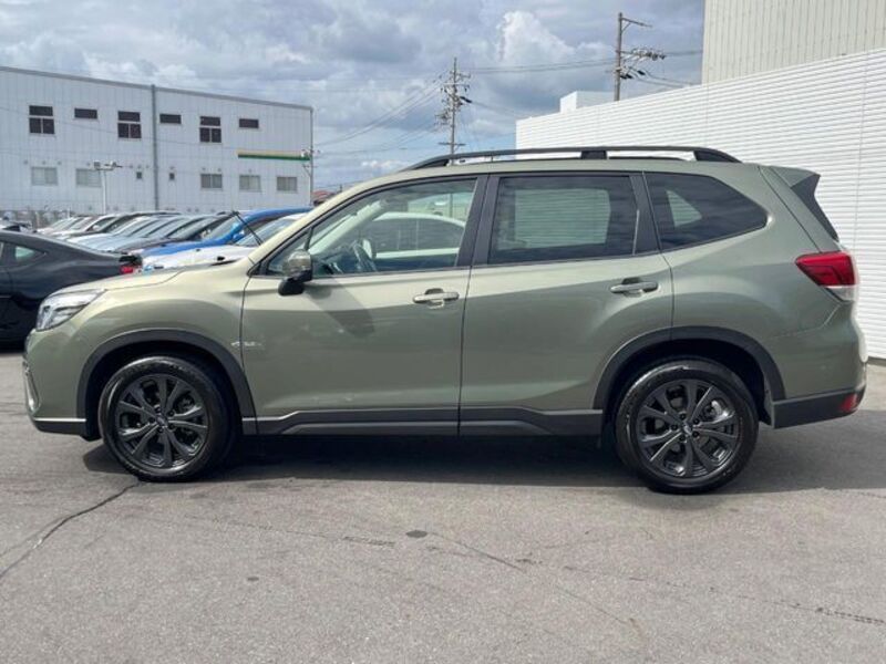 FORESTER