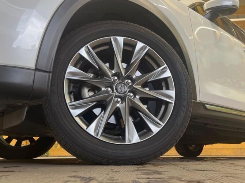 CX-8