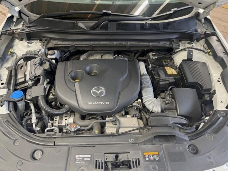 CX-8