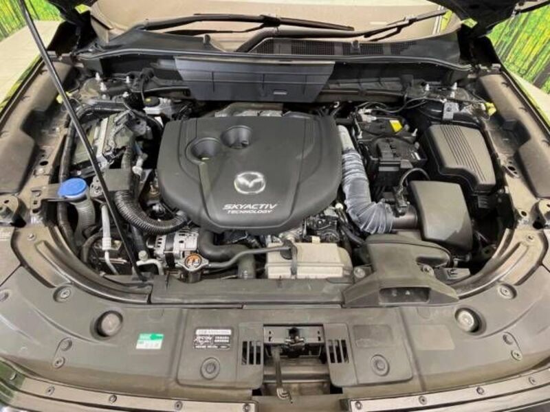 CX-8