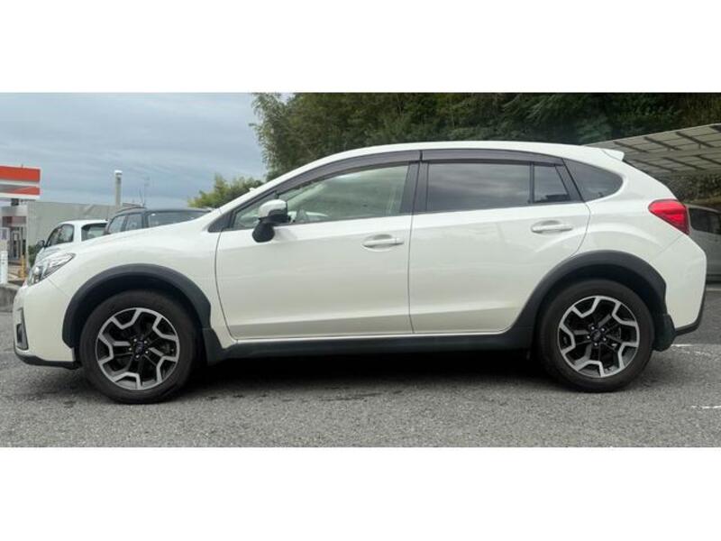 XV