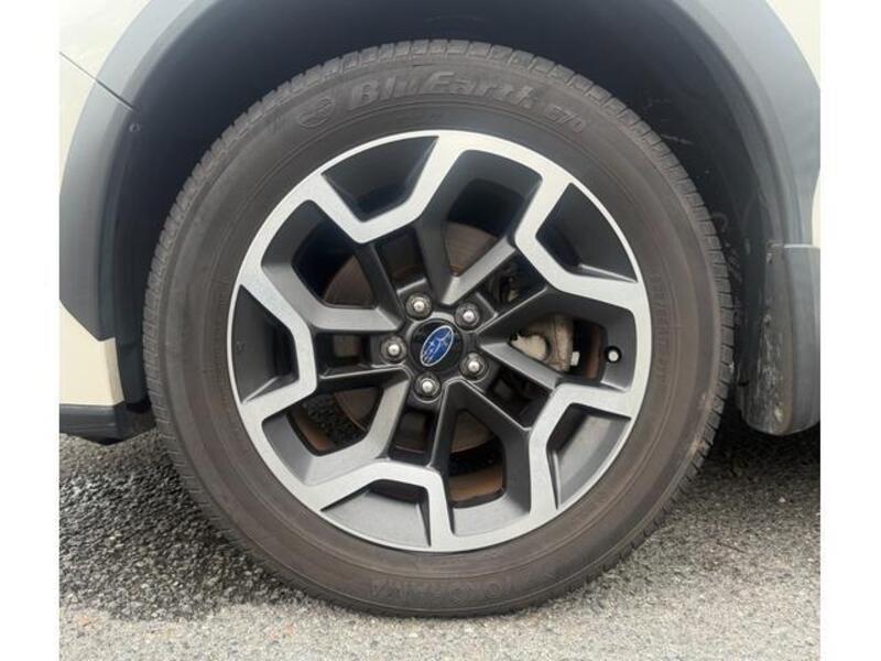 XV