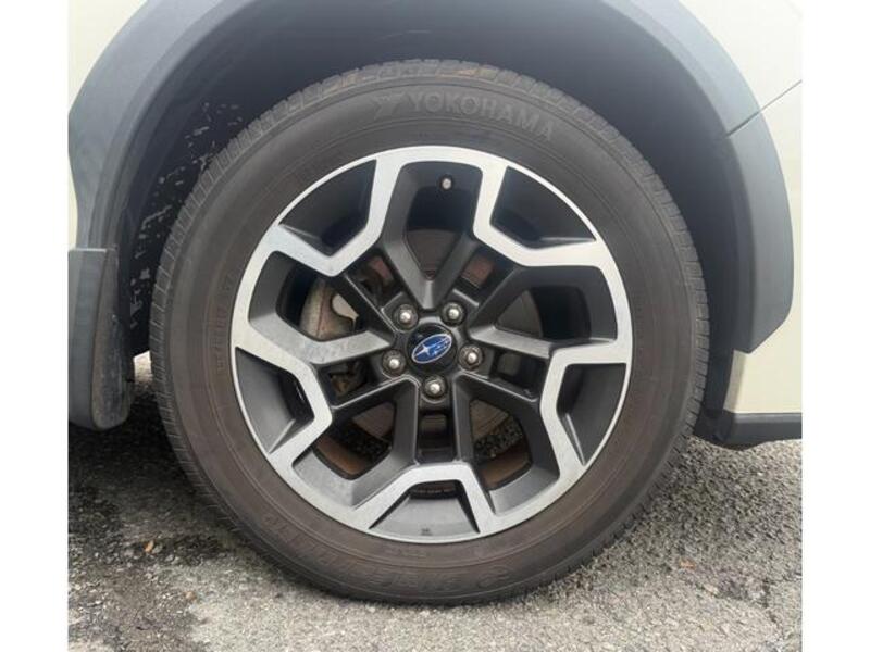 XV