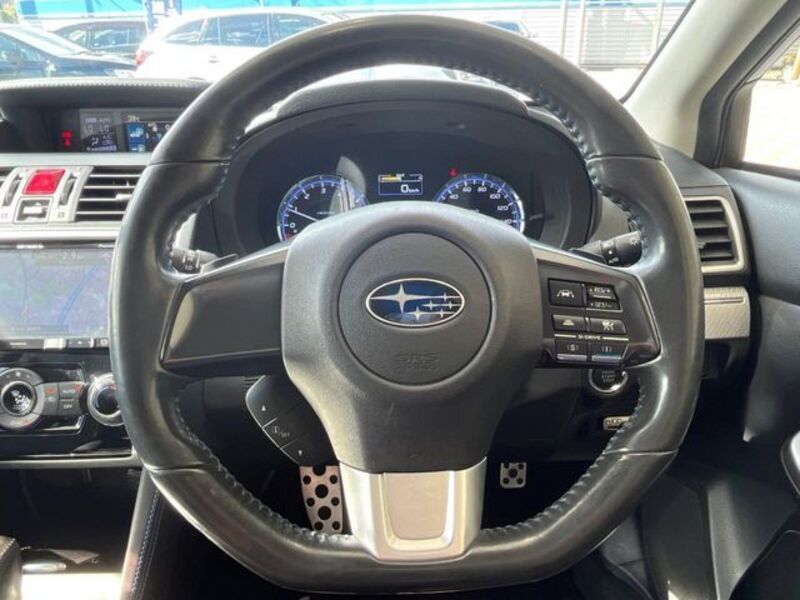 LEVORG