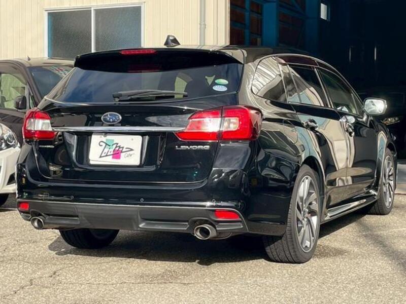 LEVORG