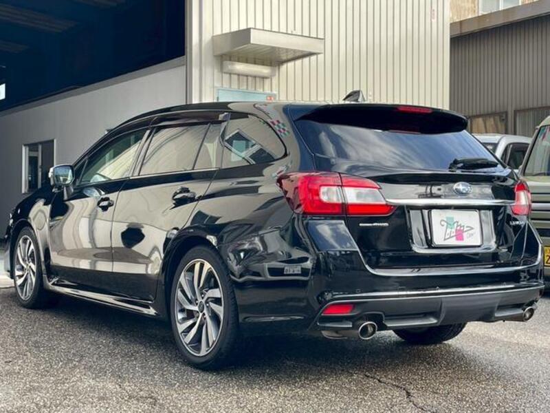 LEVORG