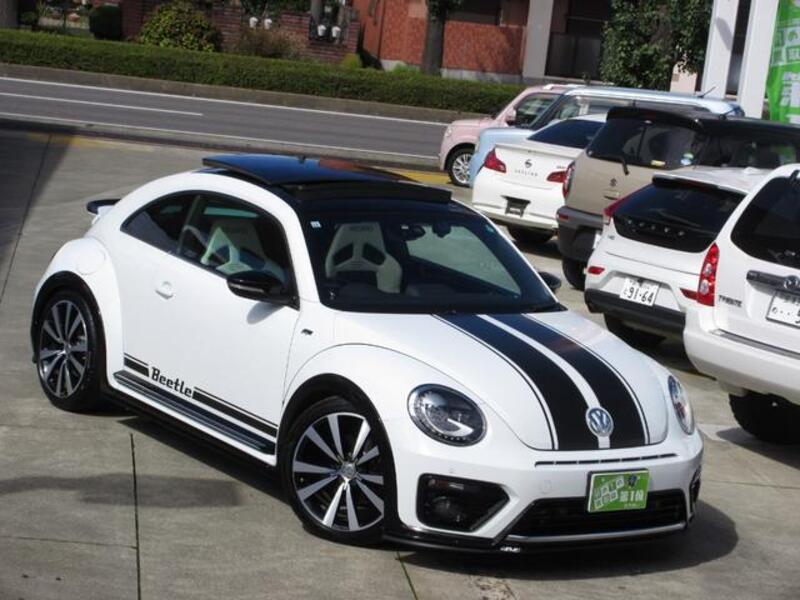 THE BEETLE