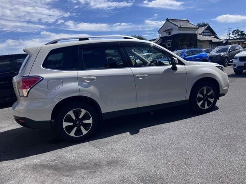 FORESTER