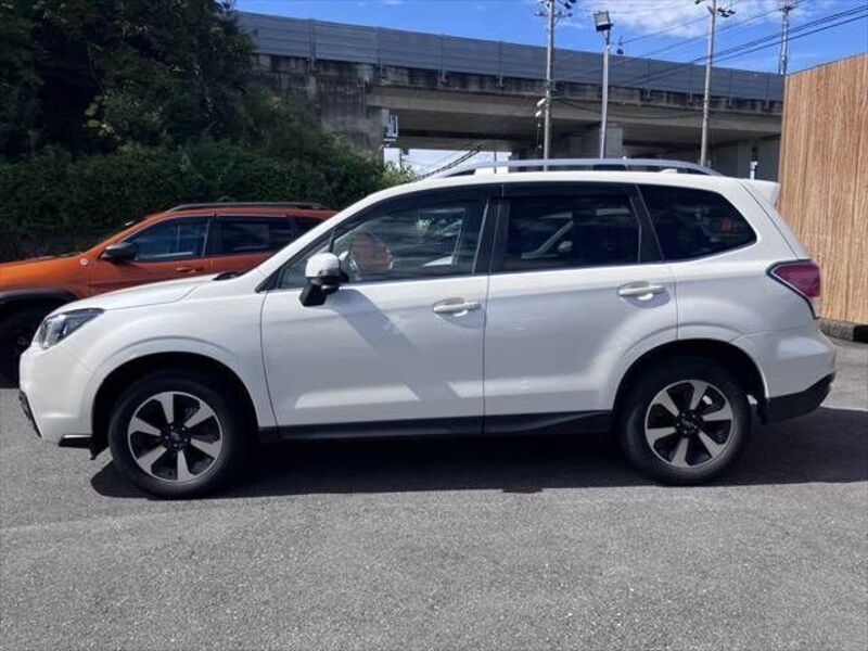 FORESTER