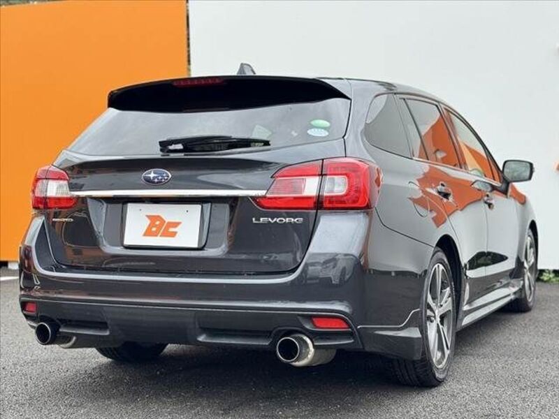LEVORG