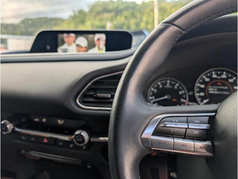 CX-30
