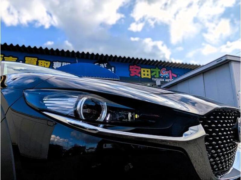 CX-30