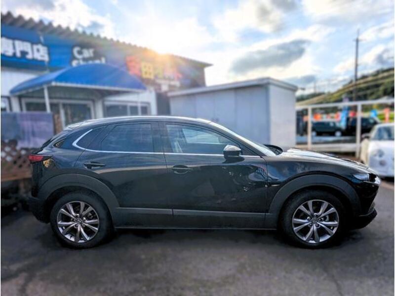 CX-30