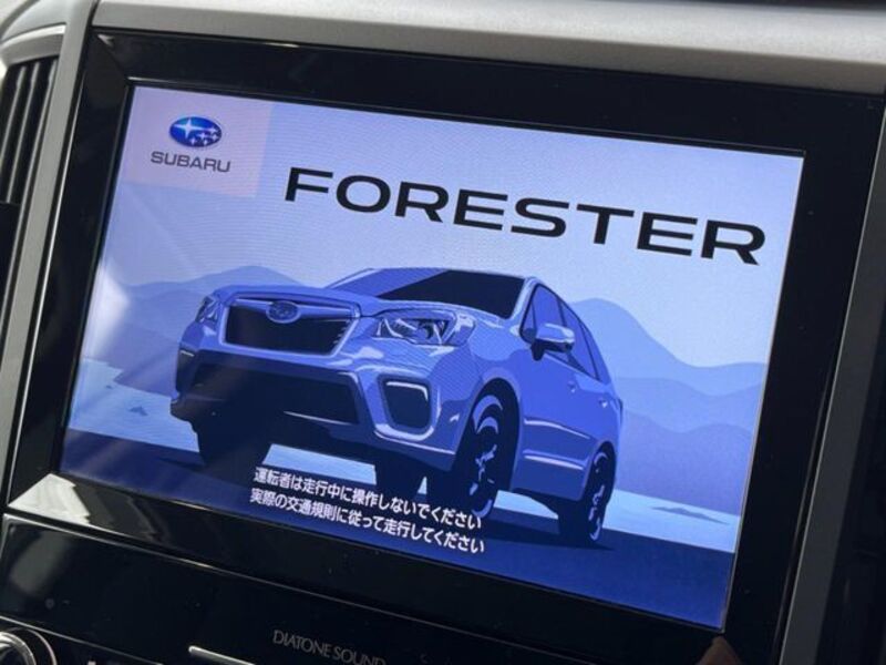 FORESTER