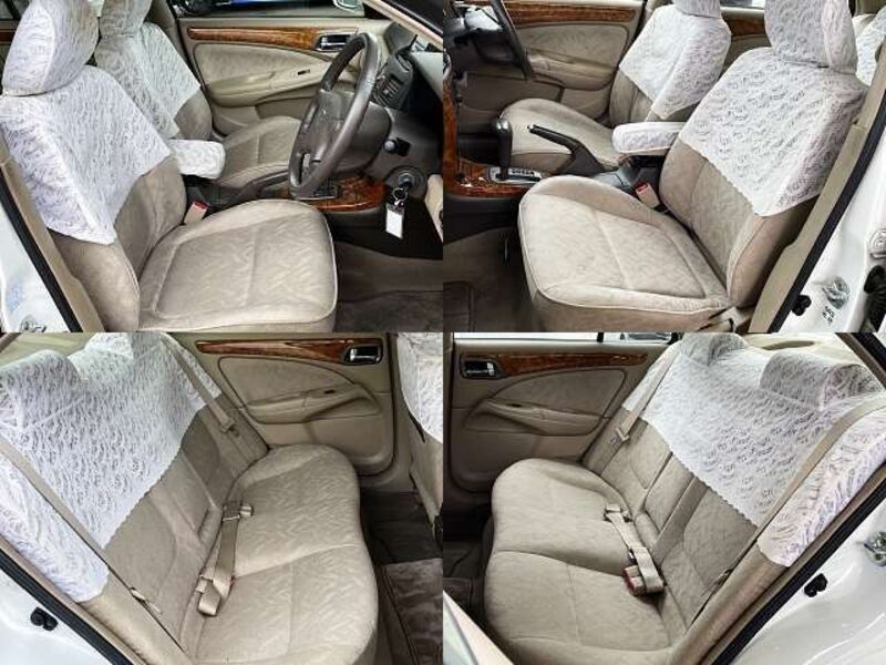 BLUEBIRD SYLPHY