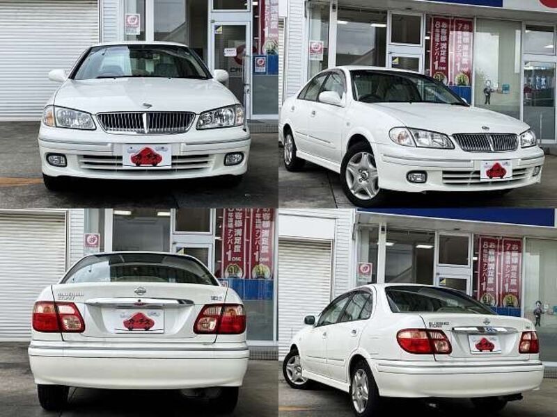 BLUEBIRD SYLPHY