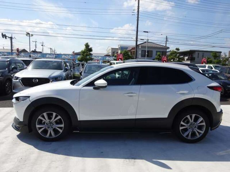 CX-30