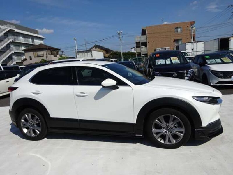 CX-30