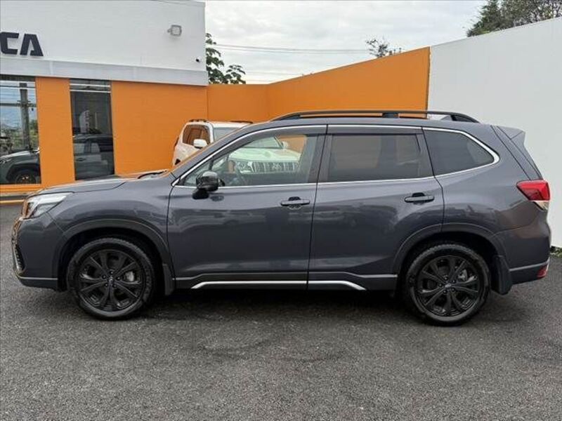 FORESTER