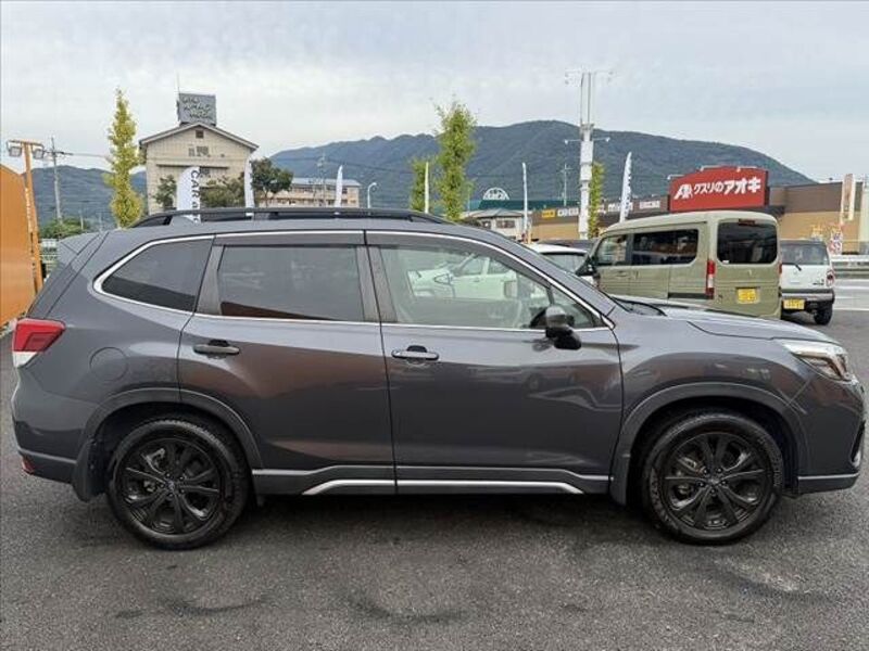 FORESTER