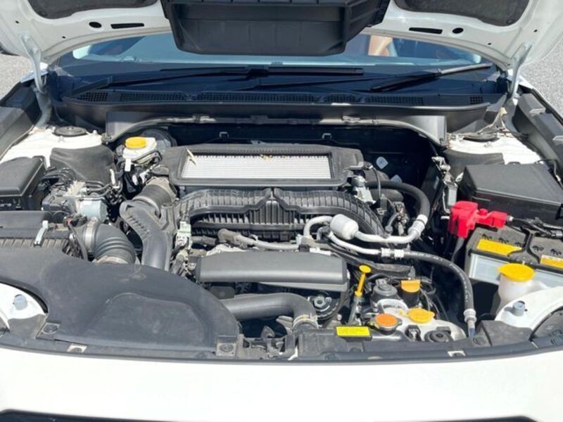 LEGACY OUTBACK