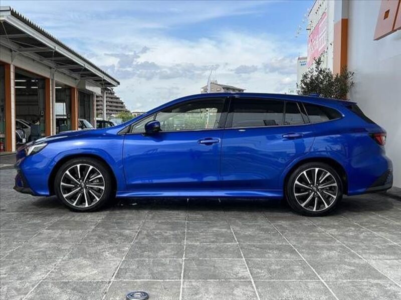 LEVORG