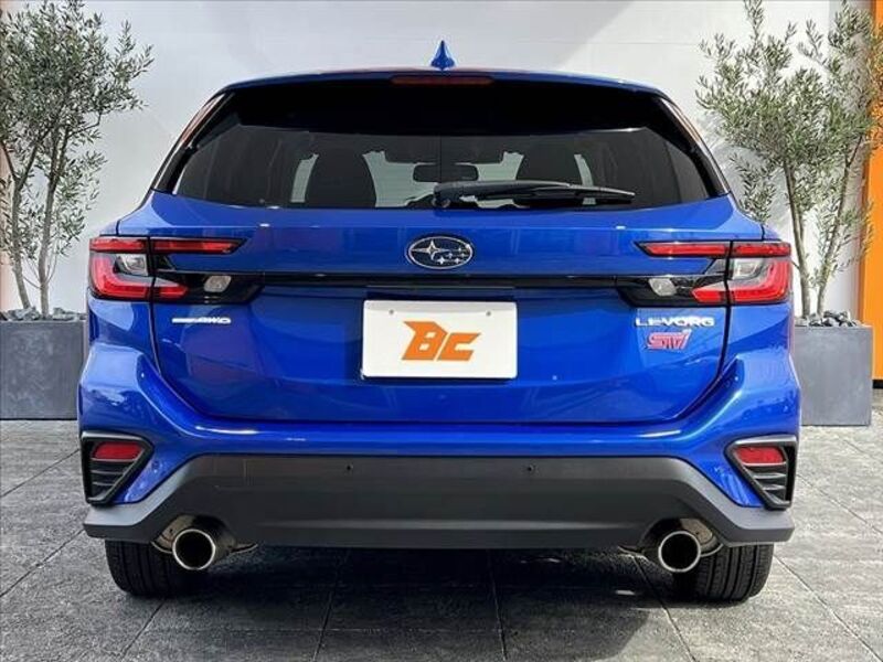 LEVORG
