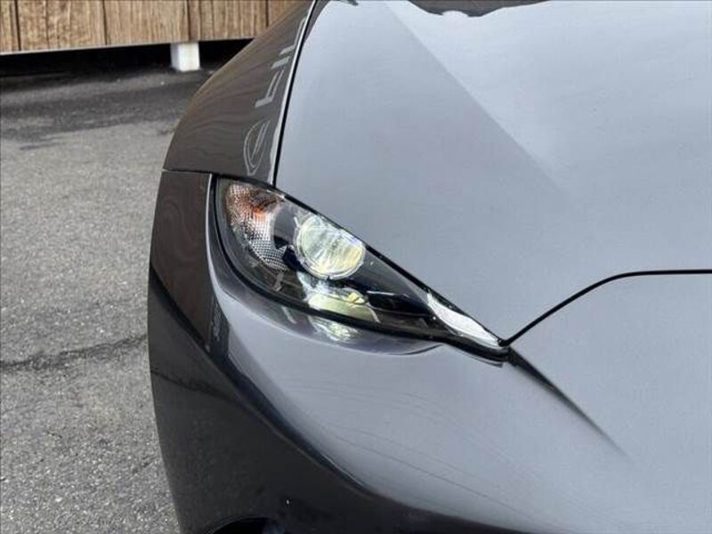 ROADSTER