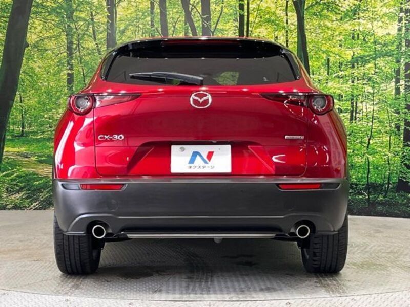 CX-30