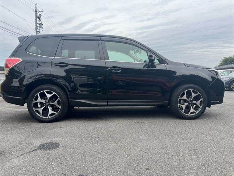 FORESTER